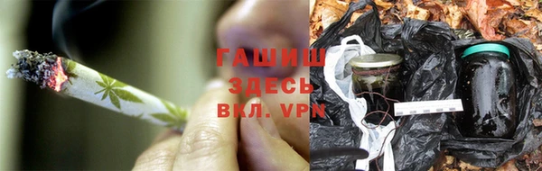a pvp Алзамай