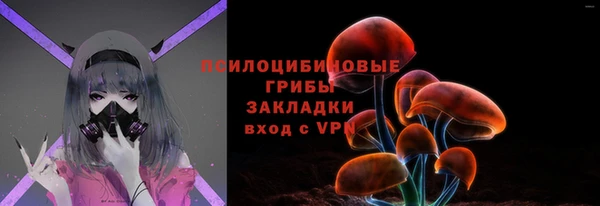 a pvp Алзамай