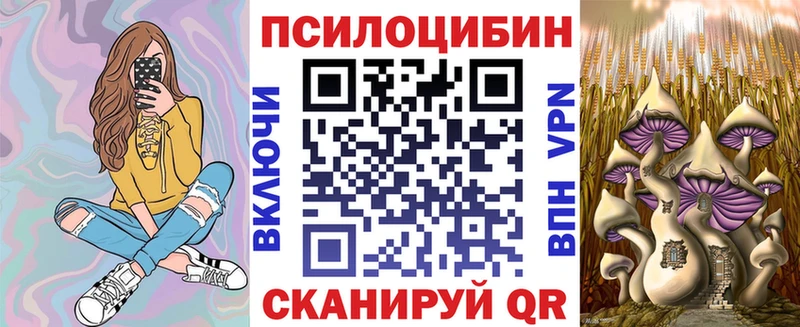 дарнет шоп  Березники  Псилоцибиновые грибы прущие грибы 